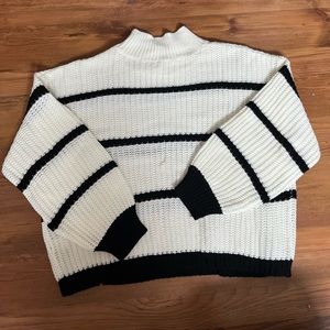 Turtleneck Knit Sweater